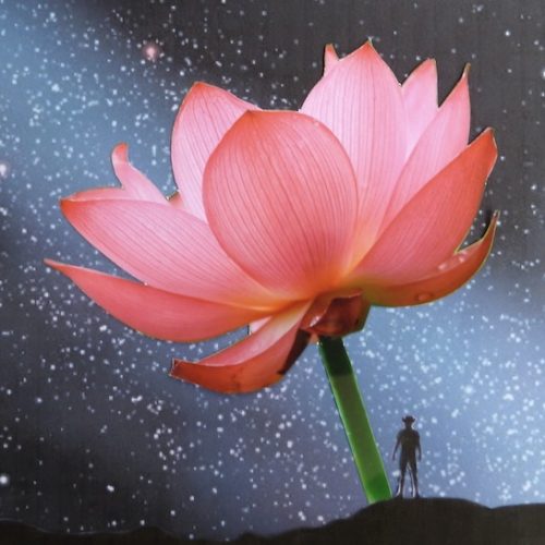 「千年の花」イメージ
